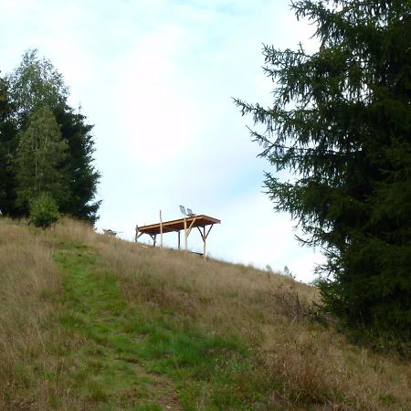 Ein Platz Fuer Ruhe Und Naturgenuss ゼーブニッツ エクステリア 写真