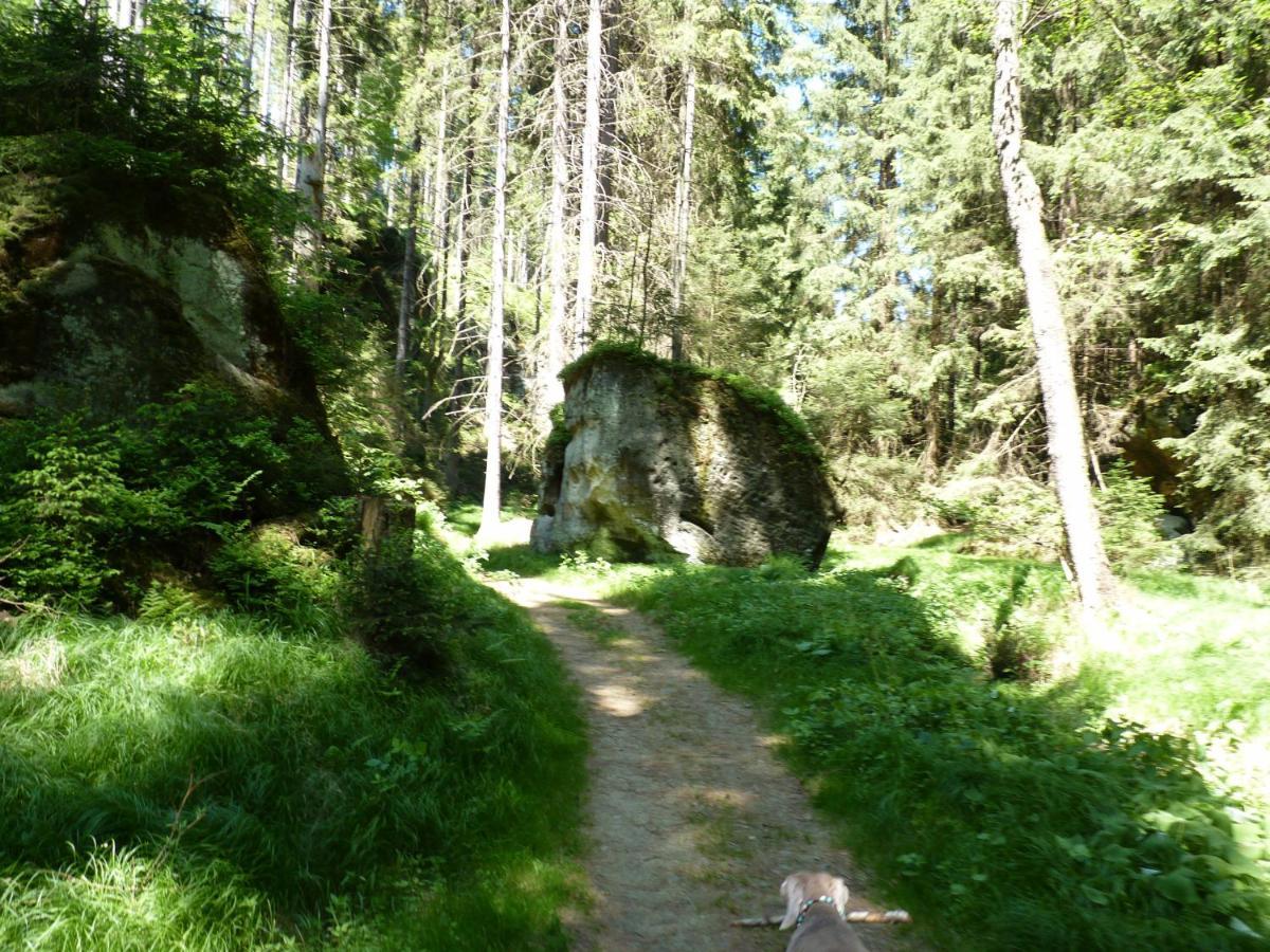 Ein Platz Fuer Ruhe Und Naturgenuss ゼーブニッツ エクステリア 写真