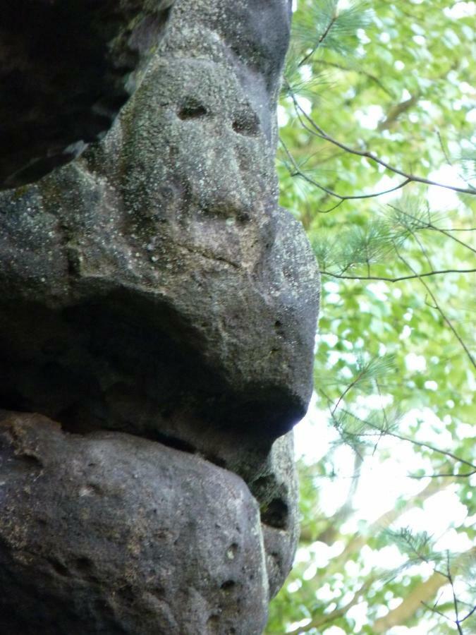 Ein Platz Fuer Ruhe Und Naturgenuss ゼーブニッツ エクステリア 写真