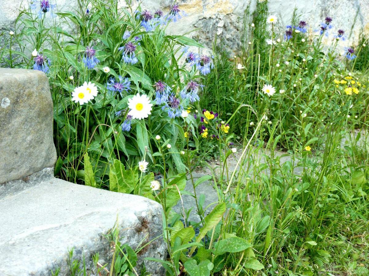 Ein Platz Fuer Ruhe Und Naturgenuss ゼーブニッツ エクステリア 写真